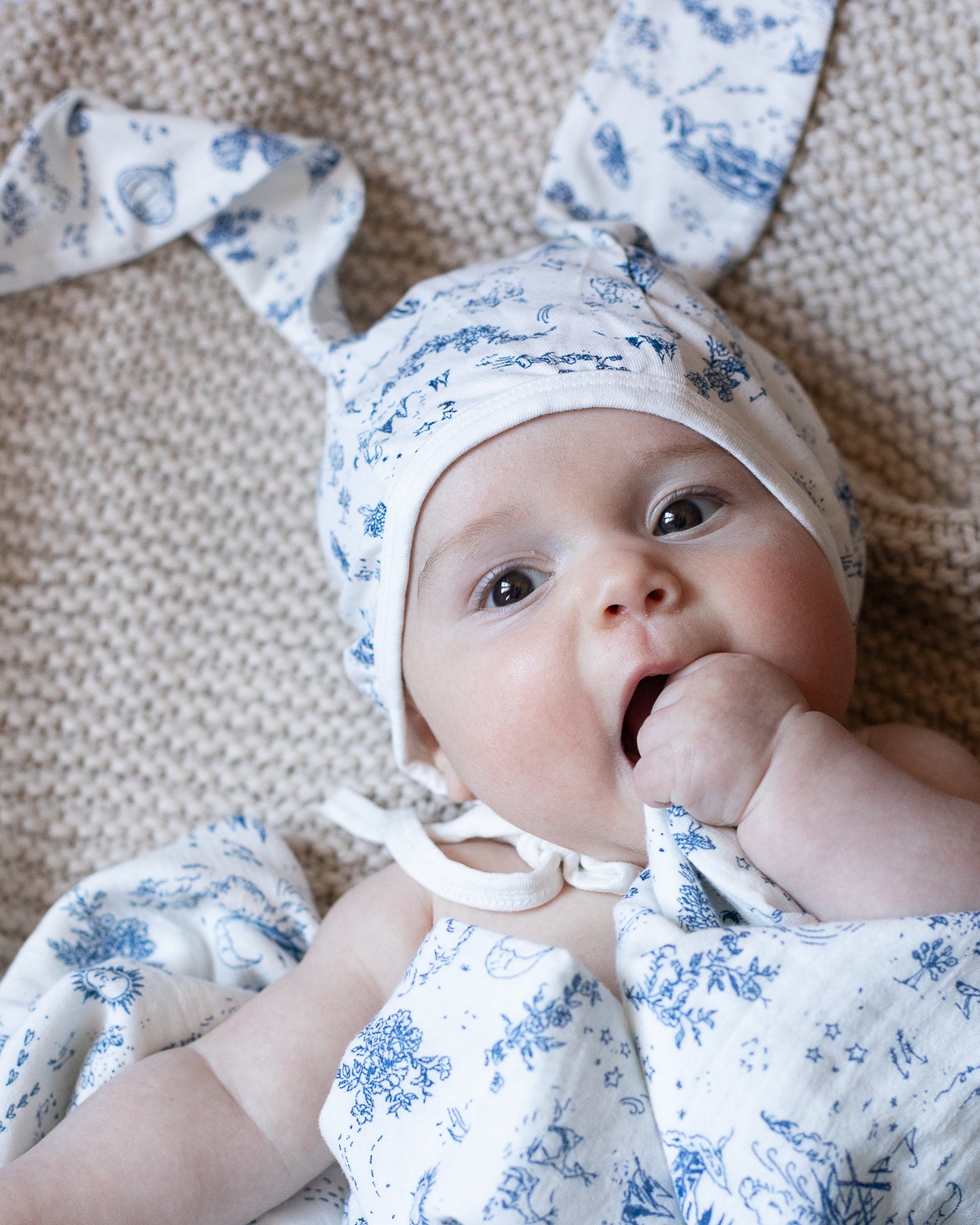 the flopsy bunny bonnet {storytime toile}