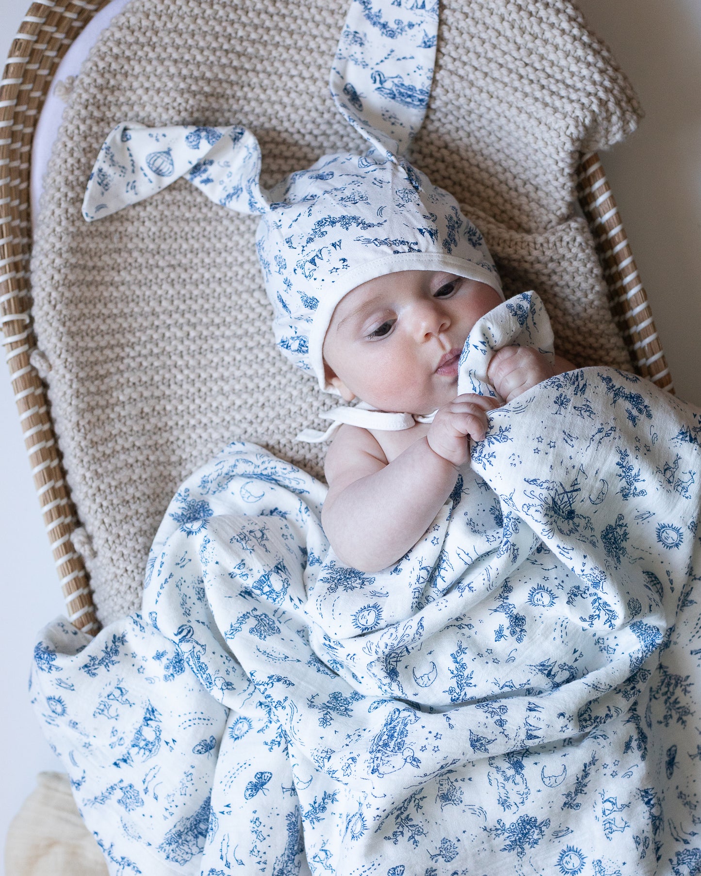 the flopsy bunny bonnet {storytime toile}