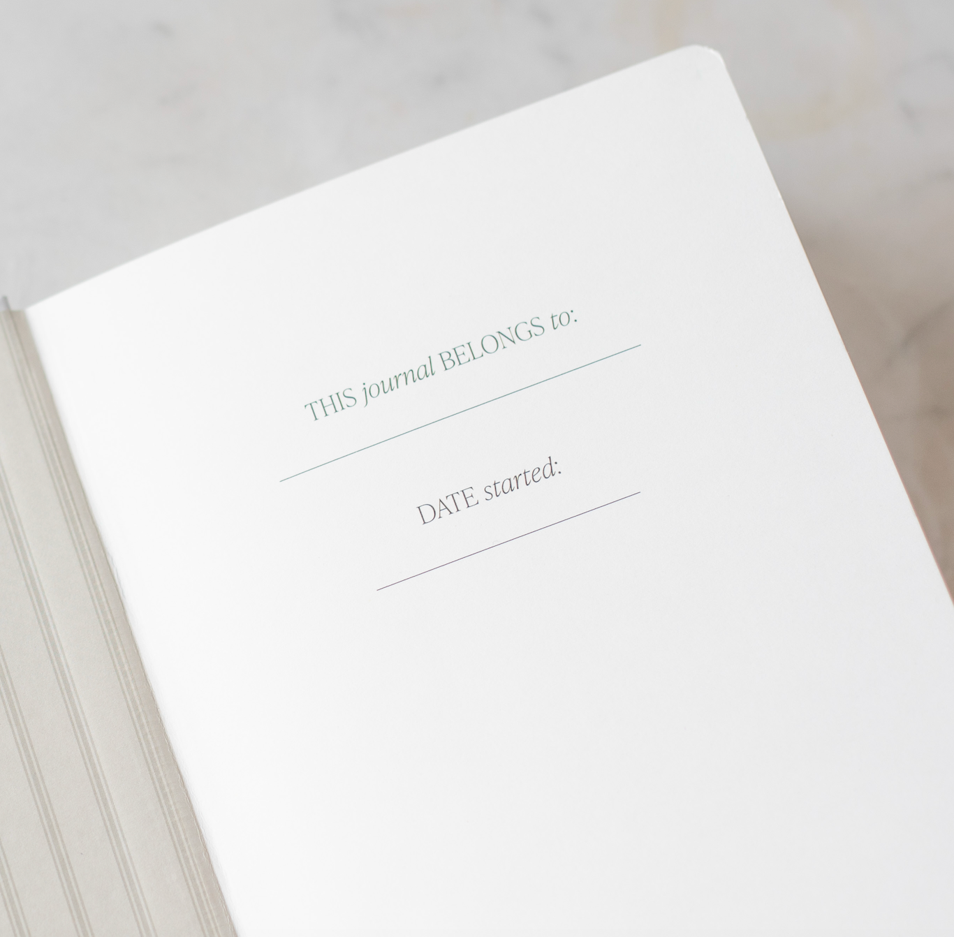 blue delft notes journal